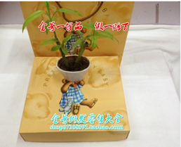 天正恒業 生日福利 天正恒業 生日福利